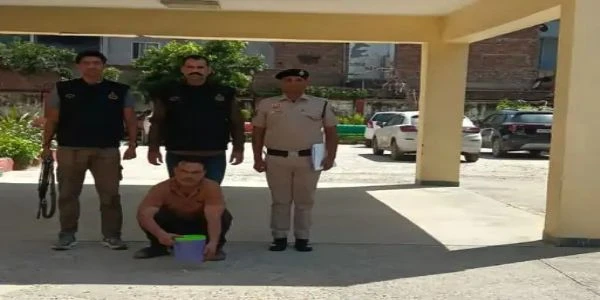 पलवल में कार के डैशबोर्ड से देसी कट्टा और कारतूस बरामद, युवक गिरफ्तार