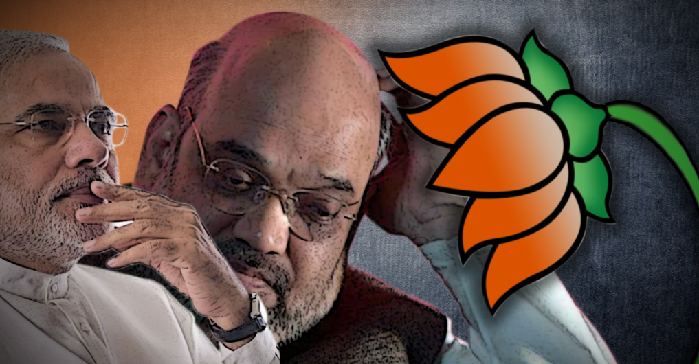 मैं BJP हूँ