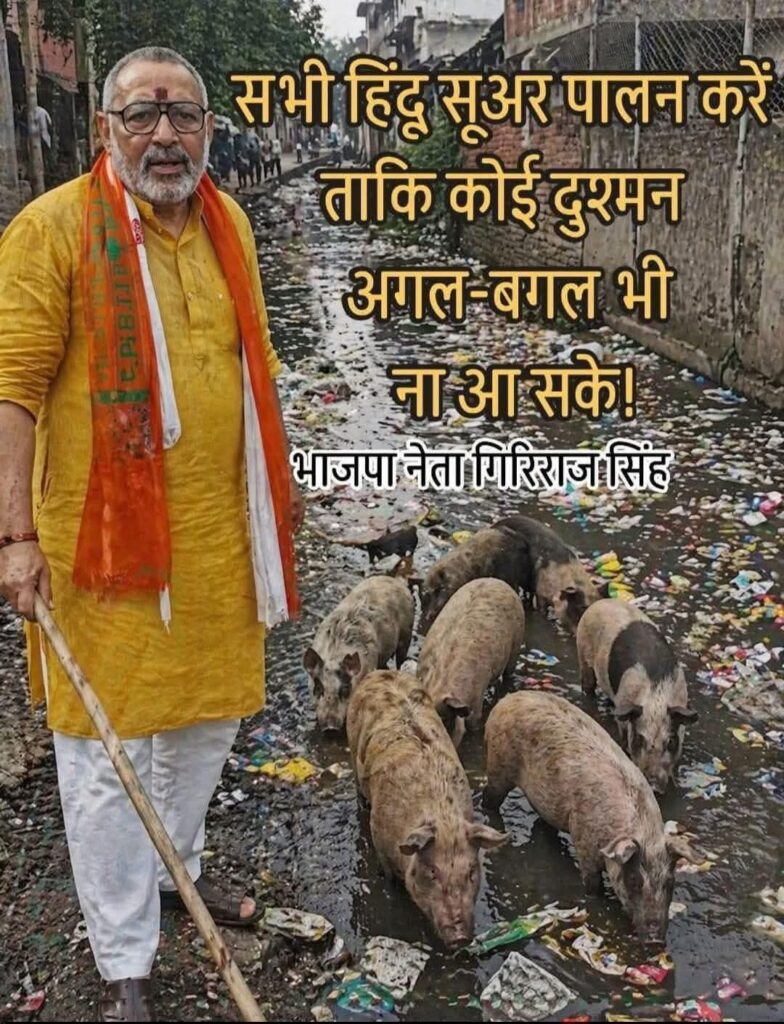 त्रि नगर इलाके में पिंजरों में रखे पालतू सूअरों और दीवारों पर लगे पोस्टर का दृश्य