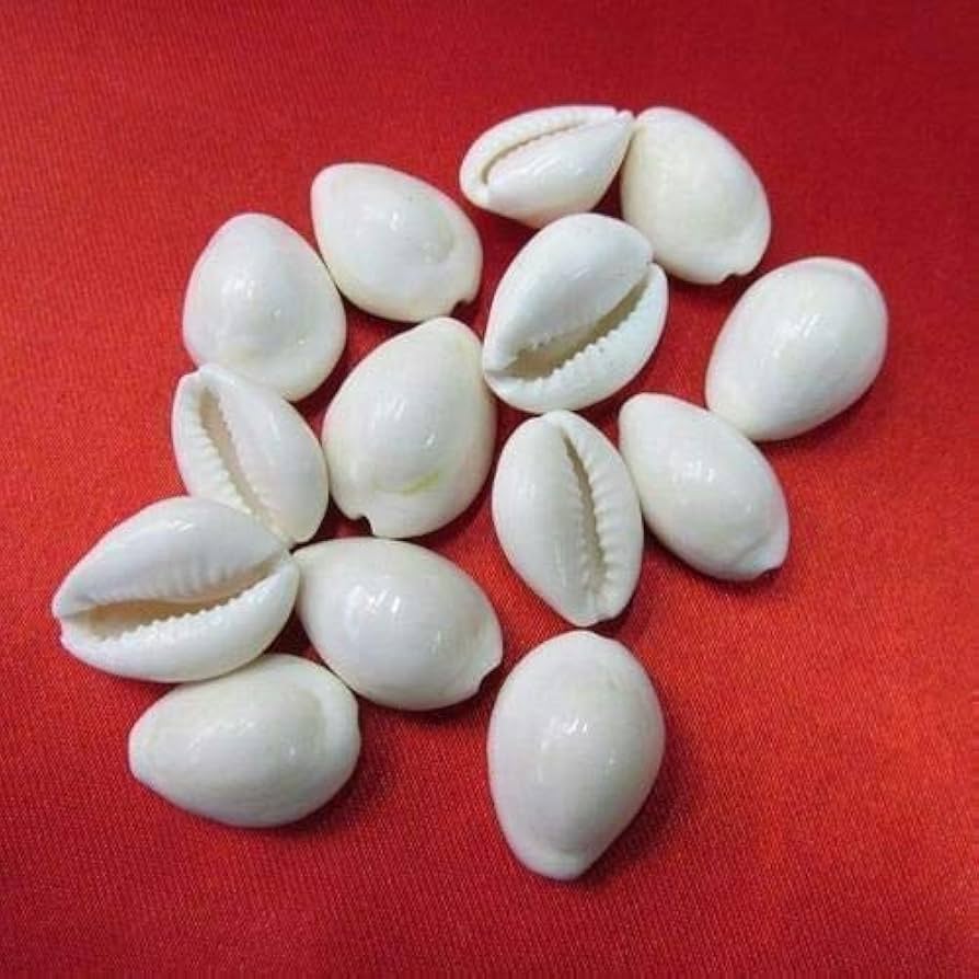 दो कौड़ी के यूट्यूब गुरु’ विवाद: डिजिटल शिक्षा बनाम मुख्यधारा मीडिया पर छिड़ी नई बहस दो कौड़ी के यूट्यूब गुरु’ बयान पर बवाल: क्या डिजिटल शिक्षा से असहज है मुख्यधारा मीडिया?