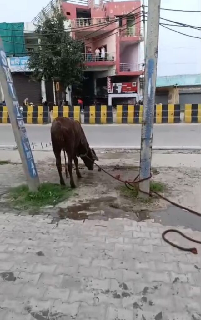 शिव मूर्ति के निकट फुटपाथ किनारे बने हुए हैं खतरनाक जानलेवा हालात
