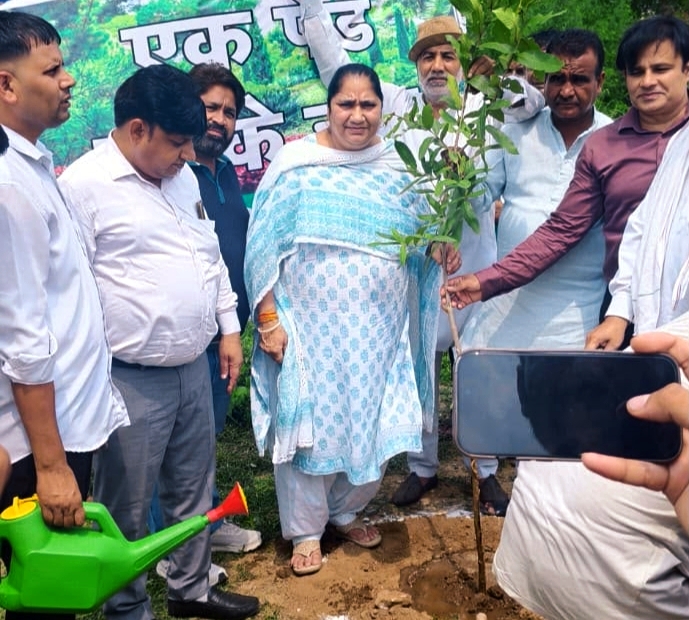 पार्षदों की इस कथित मनमानी को मार्केट कमेटी चेयरमैन मनोज यादव के द्वारा गंभीरता से लिया गया।